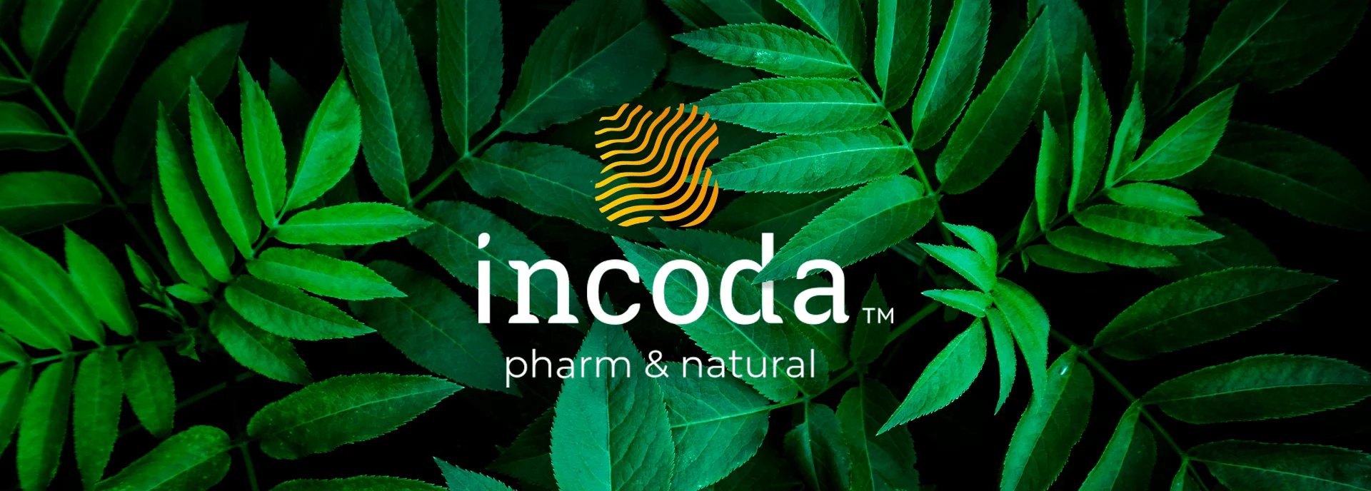 incoda_slider 1920x688-min