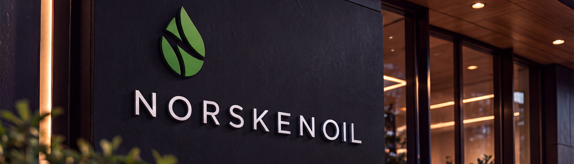NORSKENOIL-3